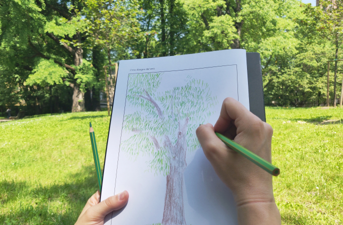 Un percorso ad arte: albero bell’albero 
