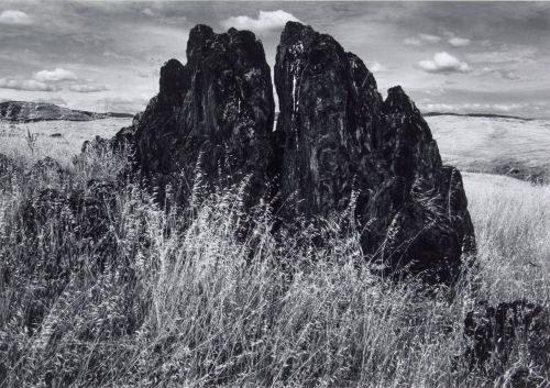 Ansel Adams Metamorphic Rock and Summer Grass Foothills Sierra Nevada