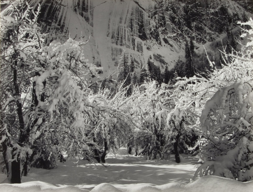 Ansel Adams Snow in Orchard Yosemite Valley
