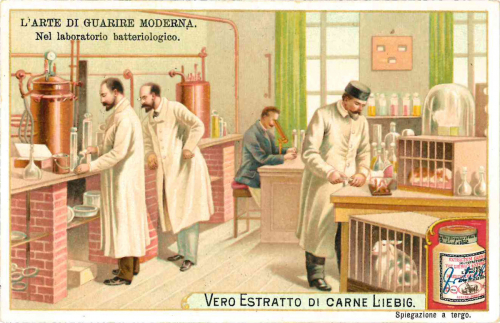 Nel laboratorio batteriologico 1903