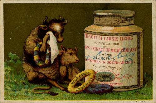 Vacca e vitello piangono davanti al vaso 1878 83